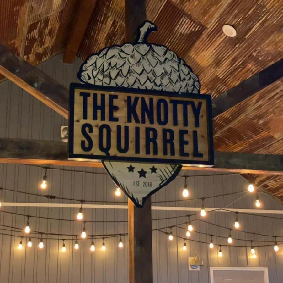 Knotty Squirrel Cabins Mountain View Εξωτερικό φωτογραφία
