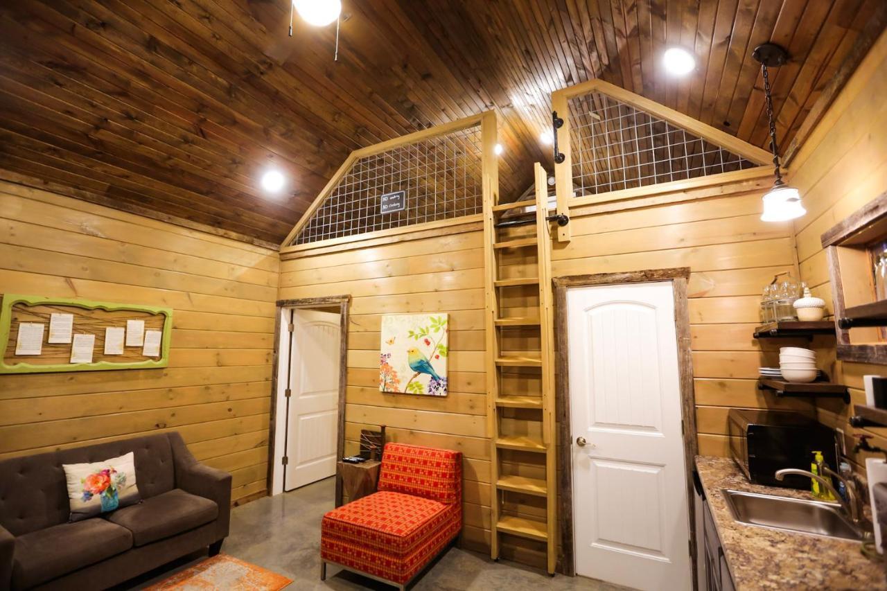 Knotty Squirrel Cabins Mountain View Εξωτερικό φωτογραφία
