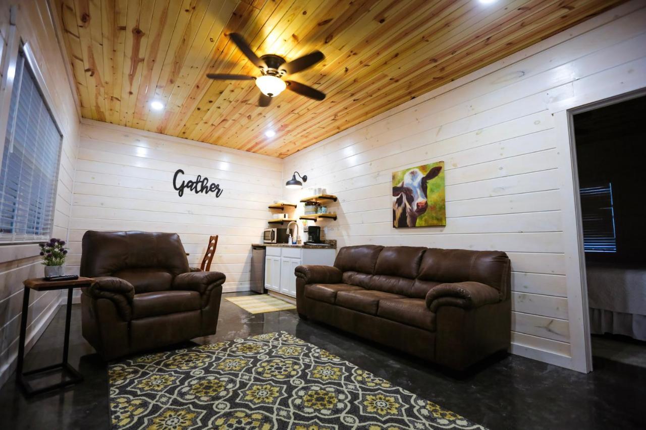 Knotty Squirrel Cabins Mountain View Εξωτερικό φωτογραφία