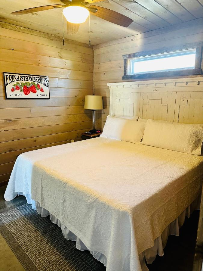 Knotty Squirrel Cabins Mountain View Εξωτερικό φωτογραφία