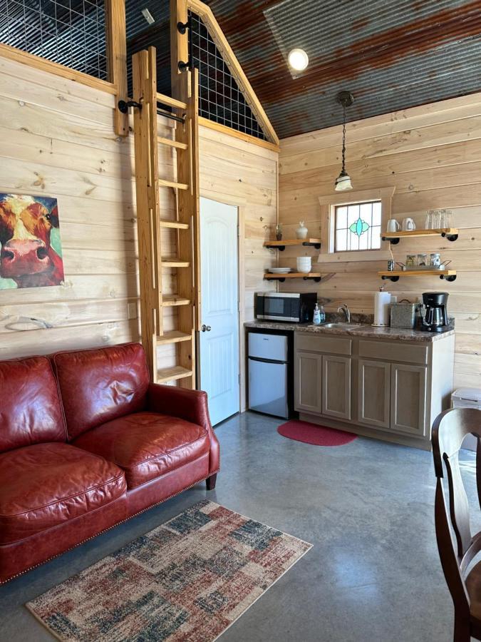 Knotty Squirrel Cabins Mountain View Εξωτερικό φωτογραφία